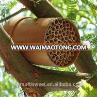 Collections Etc Hanging Bamboo Mason Bee Hive House